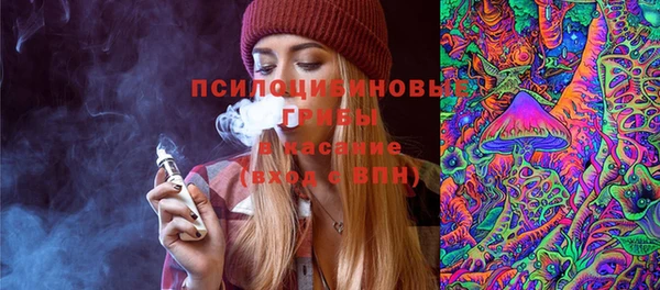 ПСИЛОЦИБИНОВЫЕ ГРИБЫ Белоозёрский
