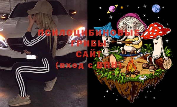 MDMA Белокуриха