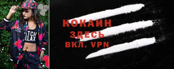 ПСИЛОЦИБИНОВЫЕ ГРИБЫ Белоозёрский