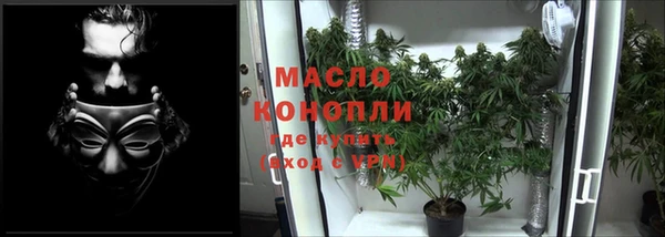 ПСИЛОЦИБИНОВЫЕ ГРИБЫ Белоозёрский