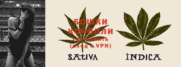 ПСИЛОЦИБИНОВЫЕ ГРИБЫ Белоозёрский