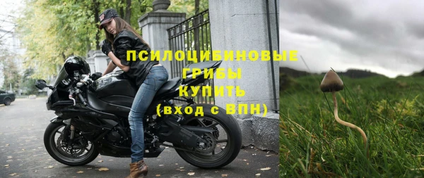 ПСИЛОЦИБИНОВЫЕ ГРИБЫ Белоозёрский