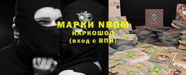 ПСИЛОЦИБИНОВЫЕ ГРИБЫ Белоозёрский