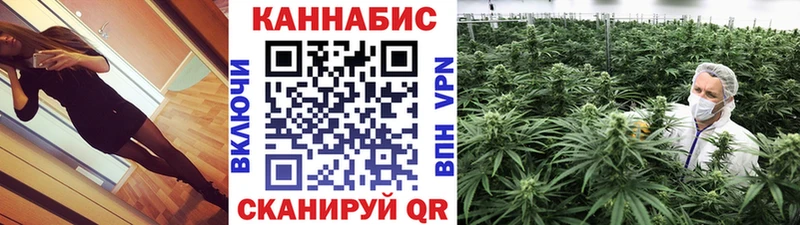 Каннабис SATIVA & INDICA  купить наркоту  hydra маркетплейс  Верхний Тагил 